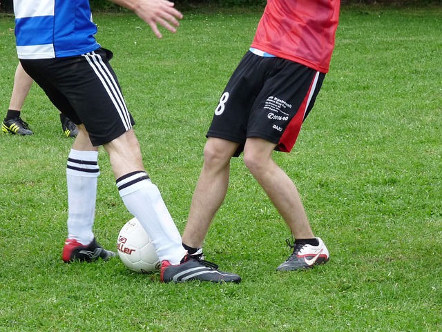 他们又该如 他们又该如