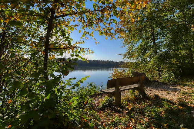 與頑強的態 與頑強的態