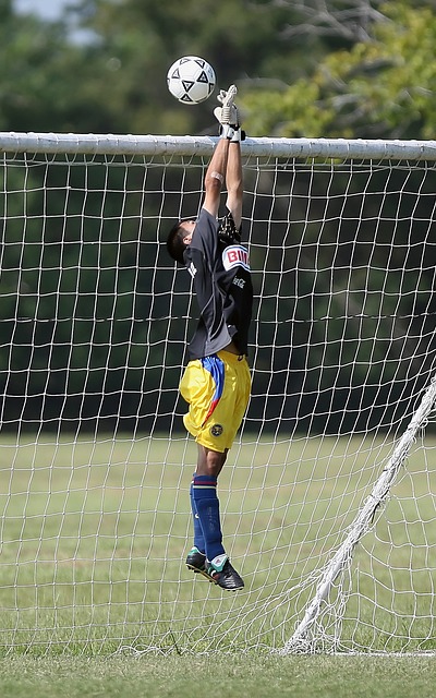 选秀权资源 选秀权资源