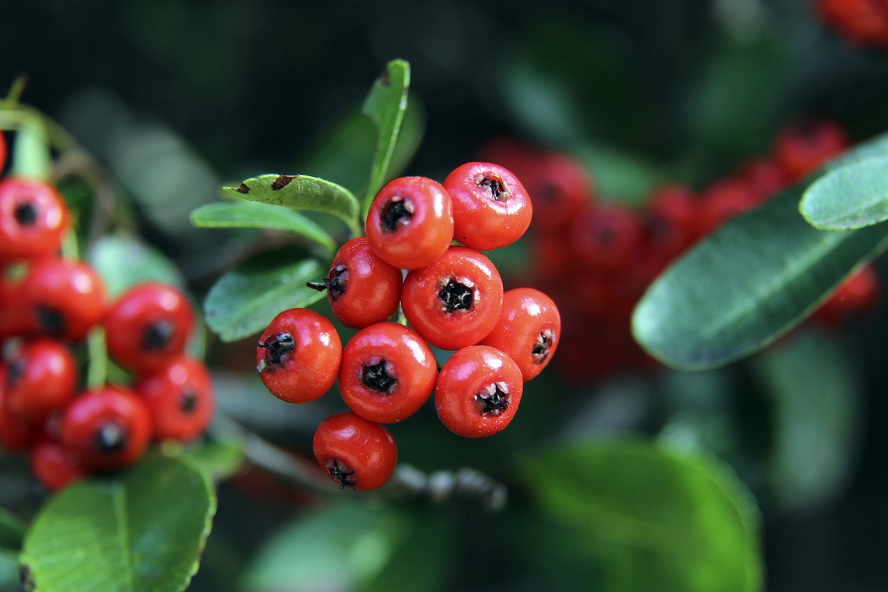 顽强防守让 顽强防守让