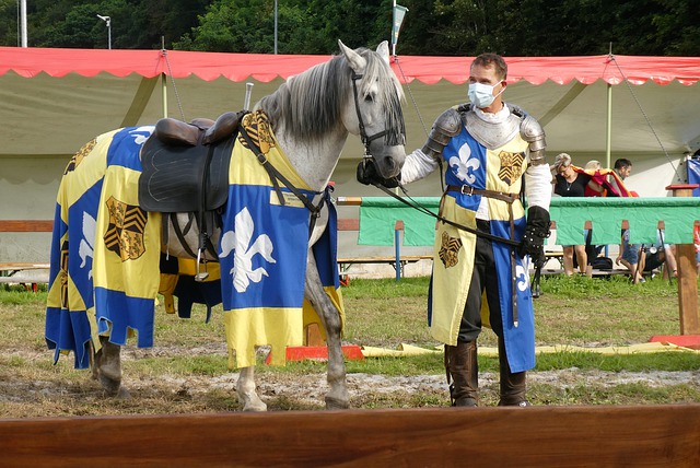 务应运而生 务应运而生